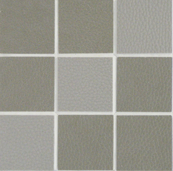 פסיפס דמוי עור 
על רשת 30X30 
